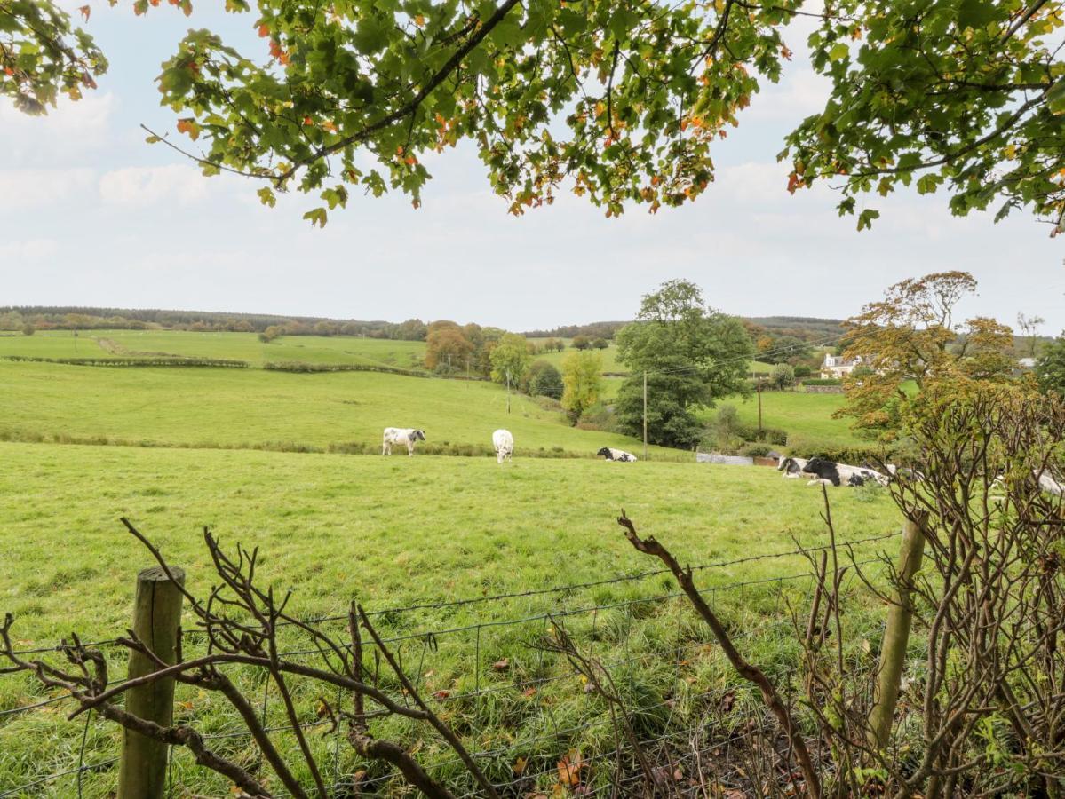 Whiteside Cottage Darvel 외부 사진
